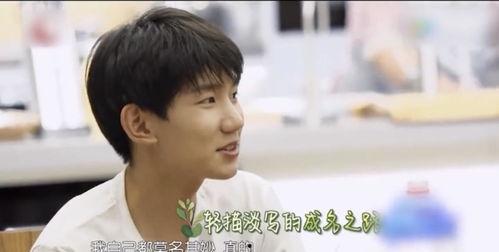 娱乐圈内幕爆料王源,王源背后的真实故事  第2张